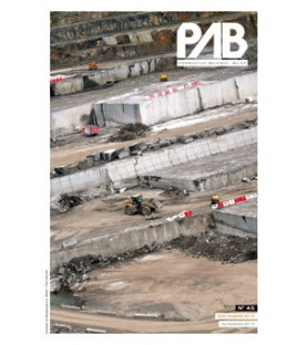 PAB n°45 2/2015