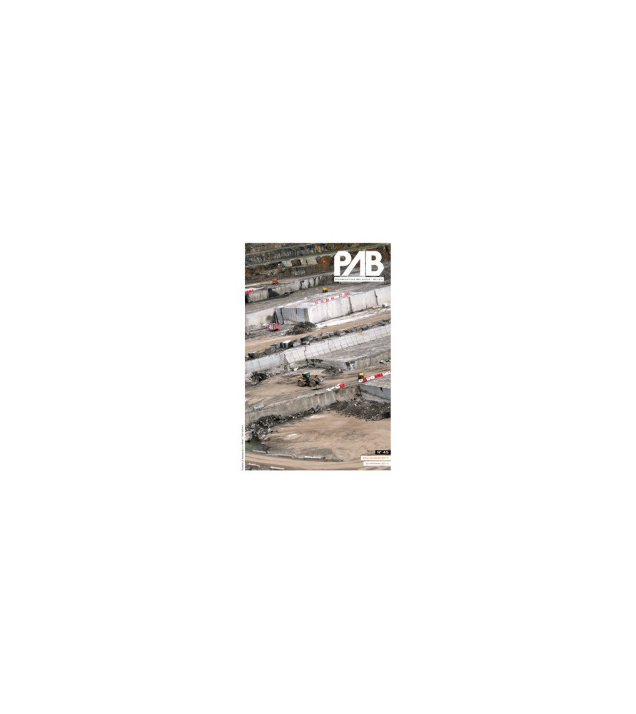 PAB n°45 2/2015